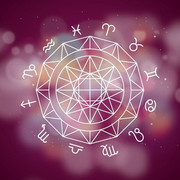 Meet your Posher, Natasha - Picture 4 of 4